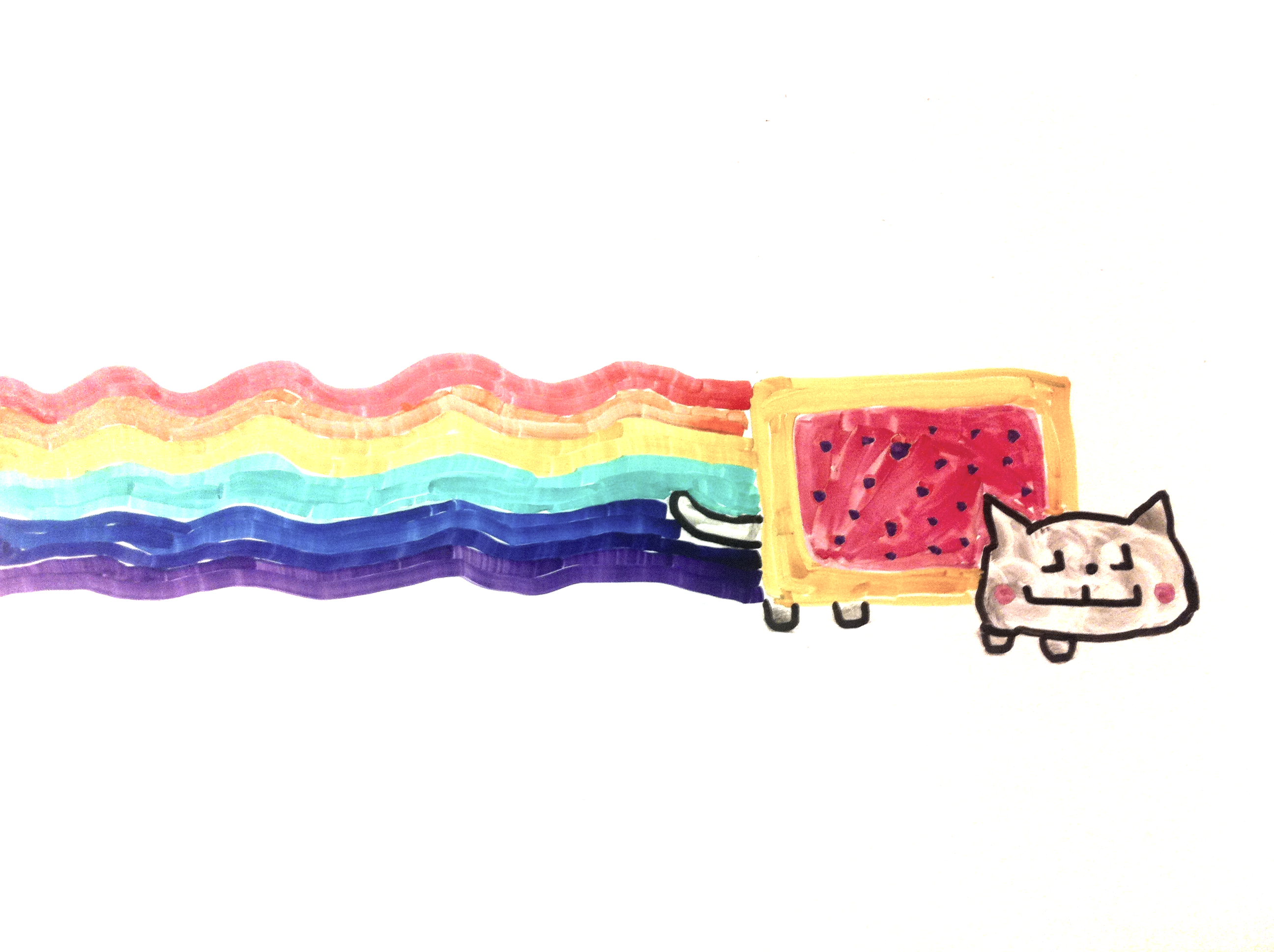Nyan cat in whiteboard drawing style